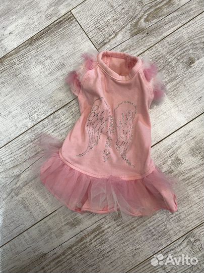 Брендовая одежда для собак