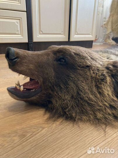 Шкура медведя имитация