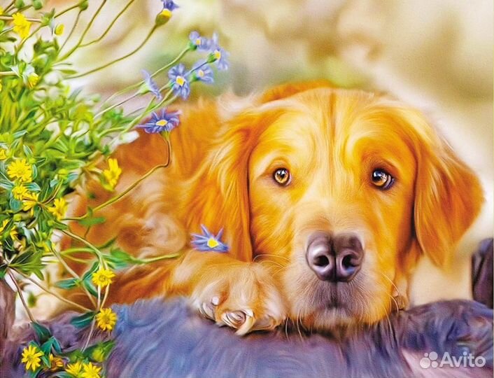 Алмазная мозаика 40х50 см. 