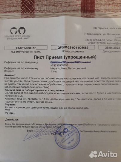 Пристроим щенка (девочка) 2,5 месяца в добрые руки