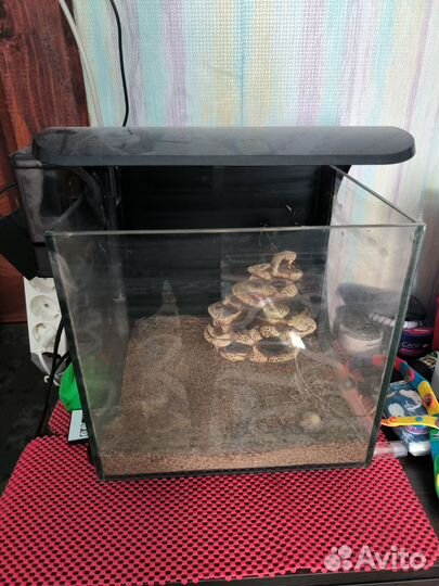 Аквариум