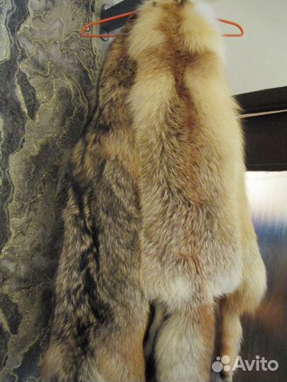 Шкуры койота