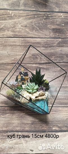 Флорариум подарок