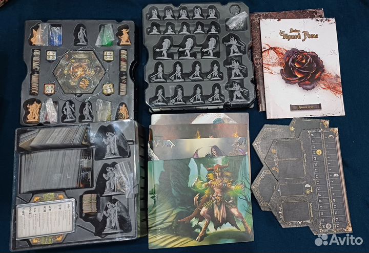 Воины чёрной розы