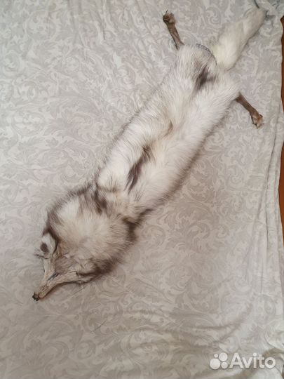 Горжетка натуральный мех писец