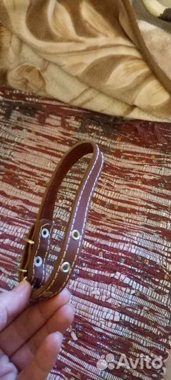 Амуниция для собак