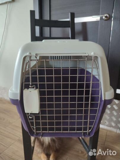 Переноски для животных