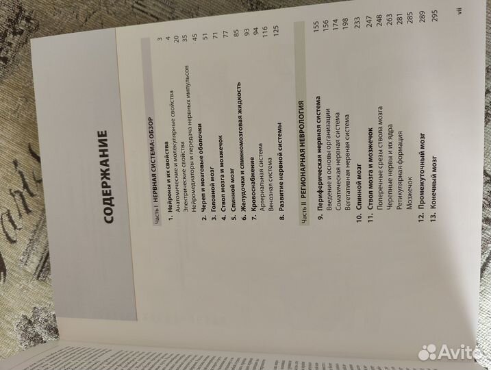 Неврология Атлас с иллюстрациями Неттера