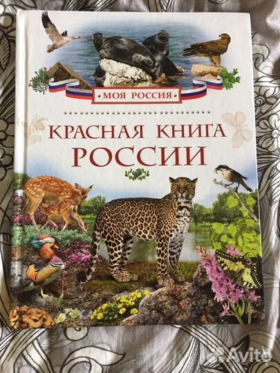 Детские книги. Новые