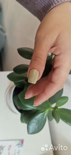 Маникюр.Педикюр