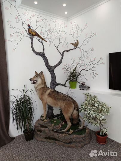 Таксидермия (чучело)