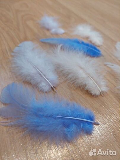 Перья декоративные