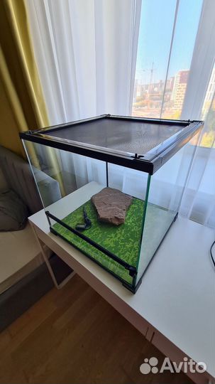 Террариум для рептилий