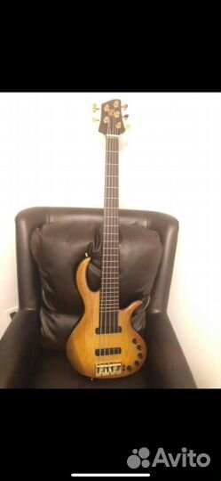 Elrick gold evolution 5