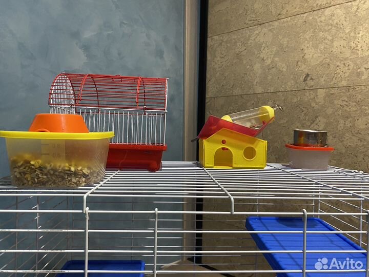 Клетка для грызунов бу