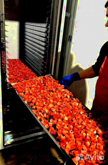 Говяжье легкое и рубец (Арт04Апр)