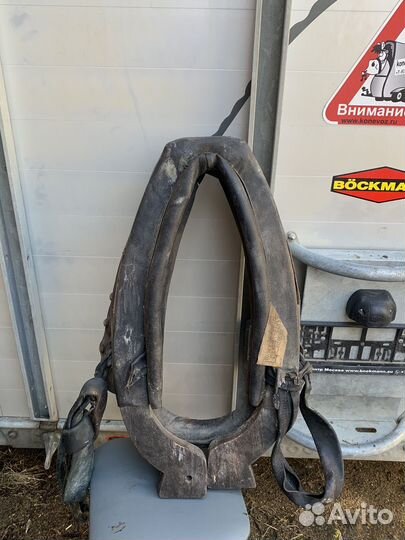 Амуниция для лошади