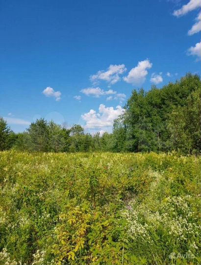 Участок 10 сот. (СНТ, ДНП)