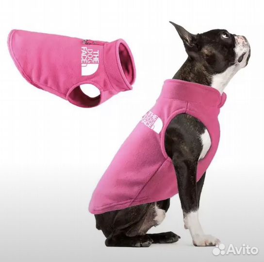 Одежда и акссесуары для собак