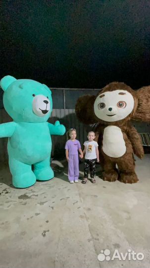 Поздравление от чебурашки