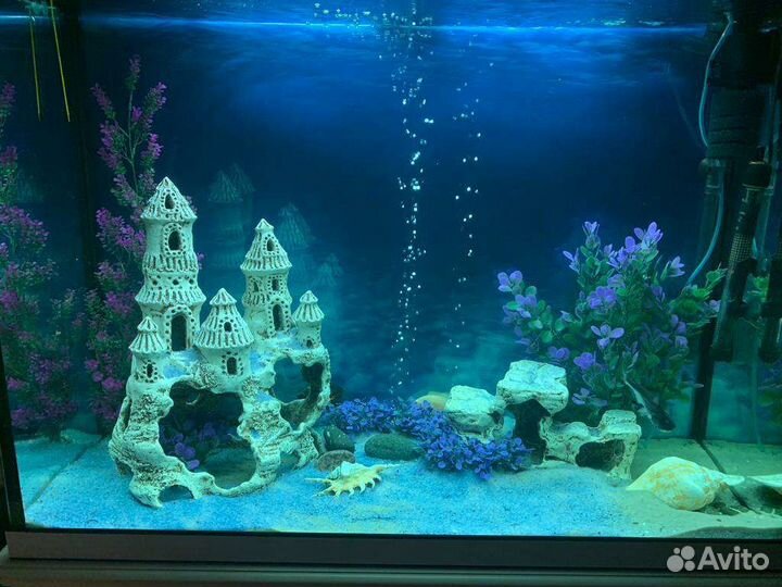 Аквариум