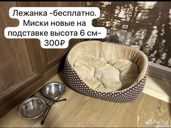 Всё для питомца. Пишите договоримся