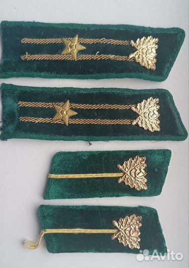 Петлицы лесничего