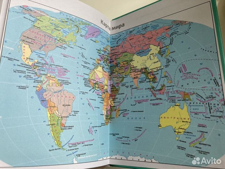 Недатированный ежедневник