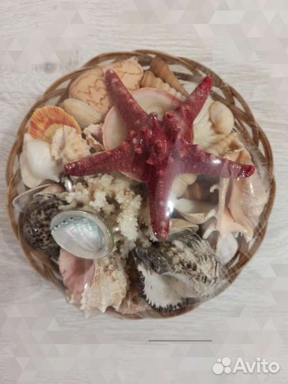 Корзина с ракушками большая