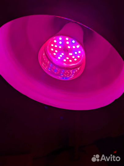 Лампа для рассады