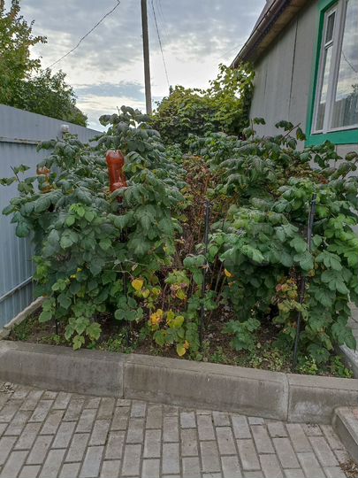 Дача 52 м² на участке 5 сот.