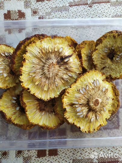 Маклюра сушеная