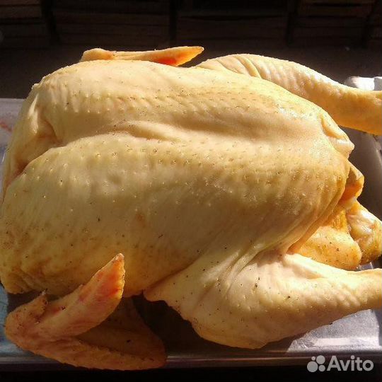 Мясо бройлера