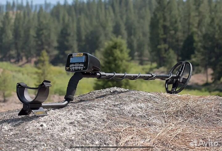 Прокат, Аренда металлоискателя без задатка. Поиск