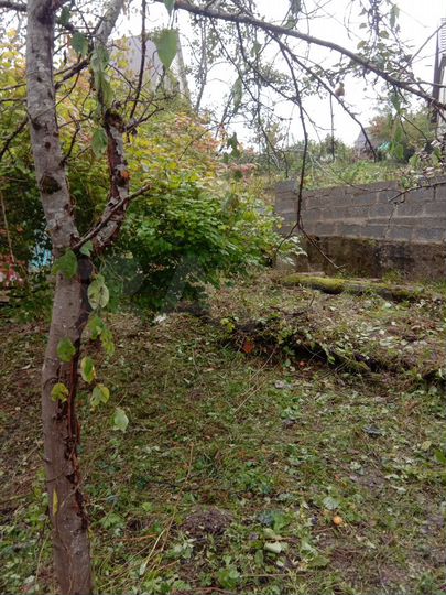 Участок 5,1 сот. (СНТ, ДНП)