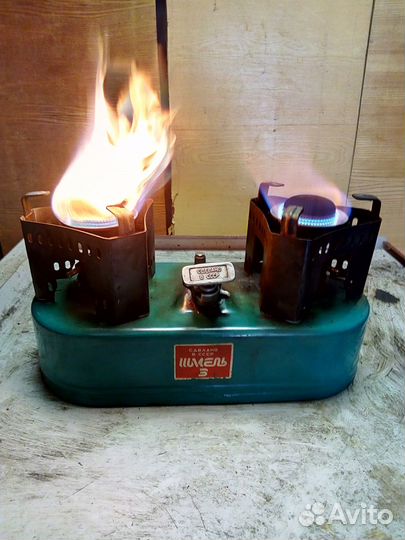 Примус шмель