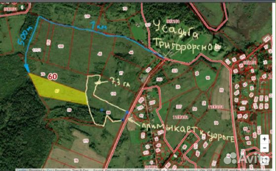 Летняя турбаза в Пушкиногорье