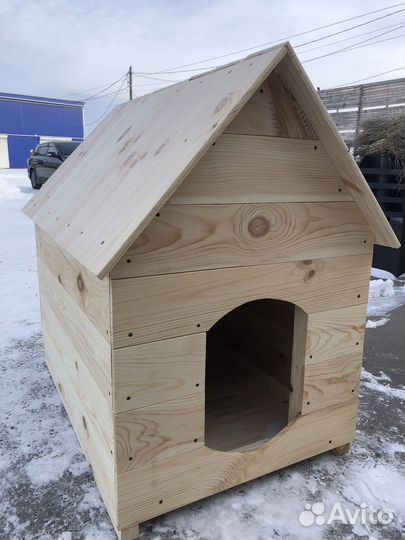 Собачья будка