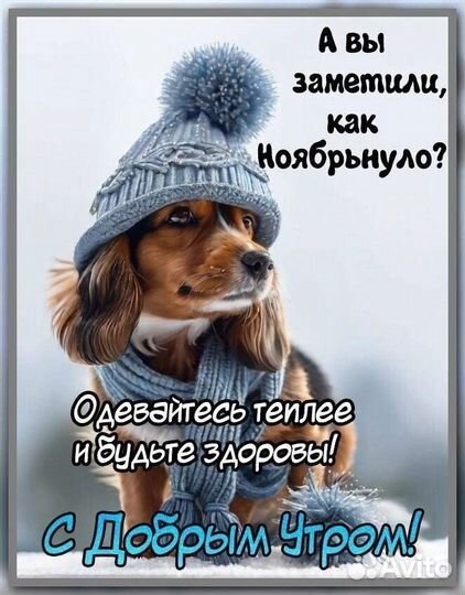 Скрипка четыре четверти массив