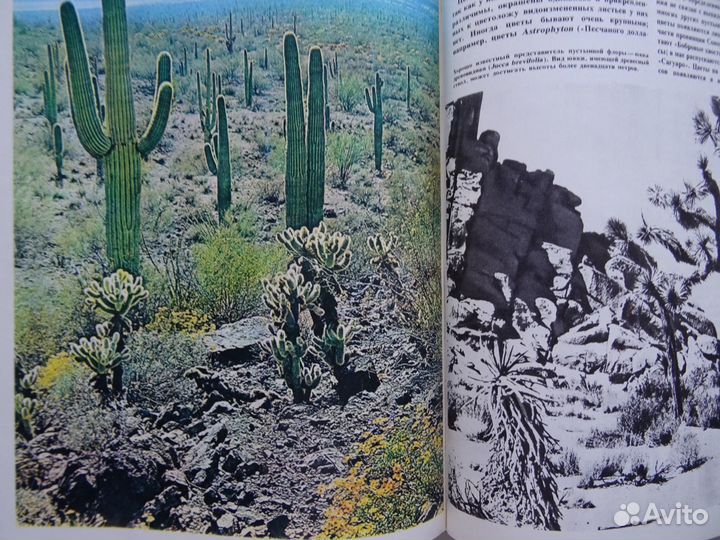 Литература по географии Путешествия