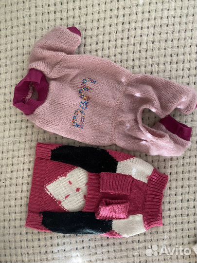 Одежда для животных