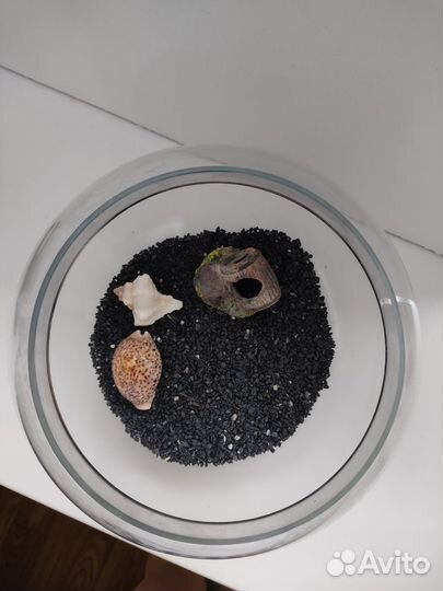 Аквариум 10 литров