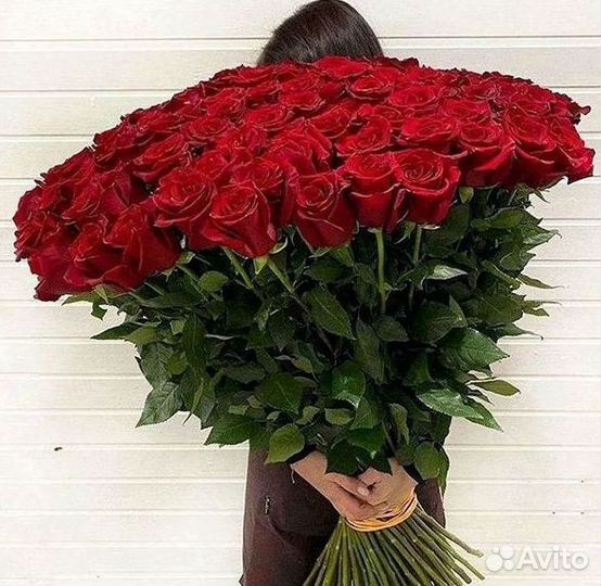 Букет роз 101 роза 51 роза