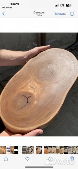 Сухие ровные торцевые спилы слэбы дуб карагач лофт