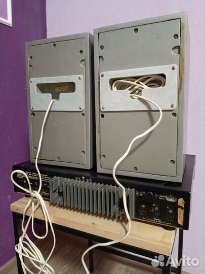 Усилитель Романтика 50У-220с