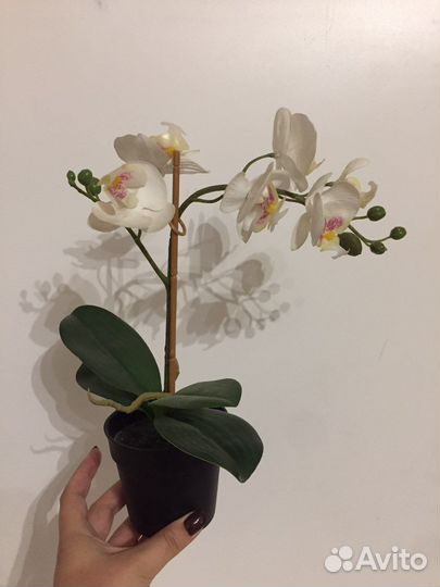 Искусственные цветы икея IKEA