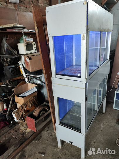 Аквариум тераниум