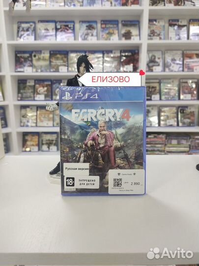 Farcry 4 диск для Sony PS4/PS5