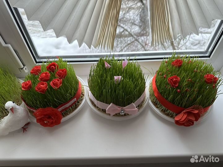 Семени на Новруза