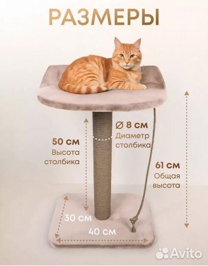 Когтеточка